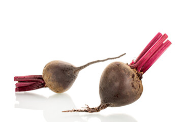 Red fresh beetroot isolated on white background, macro.