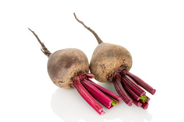 Red fresh beetroot isolated on white background, macro.
