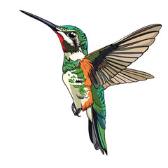 Obraz premium Vibrant Illustration of a Hummingbird in Flight (7)