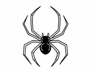 Spider vector line art  illustration on white background.