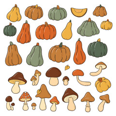 pumpkins and mushrooms doodles collection, isolated cartoon elements set for clipart, posters, stickers, banners, cards, signs, social media decor, etc. EPS 10