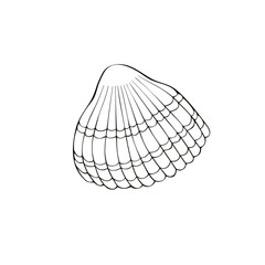 Black outline seashell icon. Clip art, simple illustration of marine shell in doodle style. Aquatic creature in ocean. Suitable for summer design, kids activity or educational materials