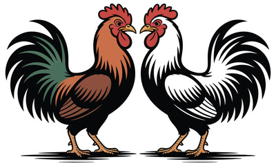 rooster and cock