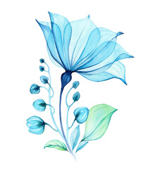 Watercolor Transparent Flower. Composition with big blue petals, buds and leaves. Abstract painting with turquoise florals. Hand painted vibrant illustration