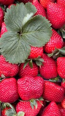 Strawberry Fresh Organic. Farm Market Healthy Eat Background