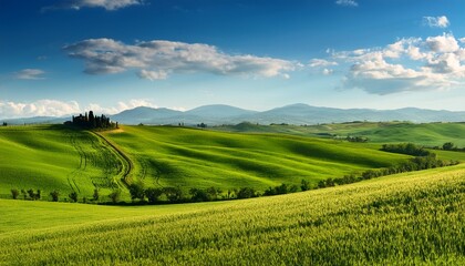 rural landscape in tuscany italy green fields and blue sky