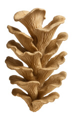 Smoked eel wrapped in nori and rice, forming a compact sushi roll on a bamboo mat