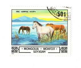 A vintage postage stamp from Mongolia isolated on a white background.