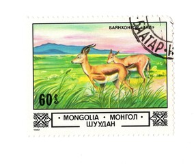 A vintage postage stamp from Mongolia isolated on a white background.