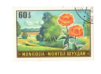 A vintage postage stamp from Mongolia isolated on a white background.