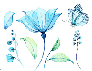 Watercolor Transparent Flowers with butterfly. Set of elements with big blue petals, buds and leaves. Abstract painting with turquoise florals. Hand painted vibrant illustration