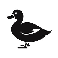 Fototapeta premium duck vector illustration