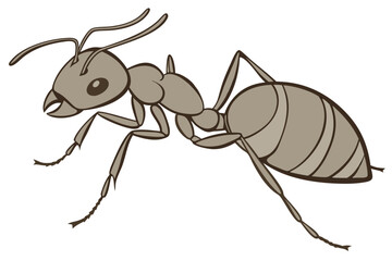 Realistic side profile of an ant in a clean smooth flat design style