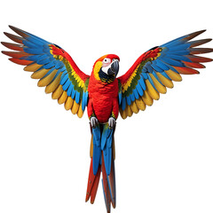 Realistic macaw parrot in frontal view with vivid multicolor wings fully spread, detailed feathers and cheerful vibrant appearance on white background
