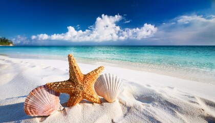 beautiful tropical beach with shell and starfish on white sand