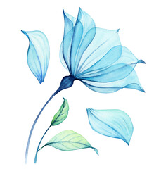 Watercolor Transparent Flower. Composition with big blue petals and leaves. Abstract painting with turquoise florals. Hand painted vibrant illustration