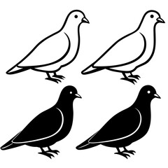 Mourning Dove Silhouette Vector Set