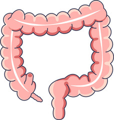 A simplified illustration of the human large intestine, including the colon and appendix. Represents the digestive system, gut health, and human anatomy.
