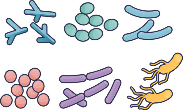 Illustration of a diverse microbial community. Features various bacteria shapes like cocci and bacilli, symbolizing the complexity of a microbiome and gut flora.
