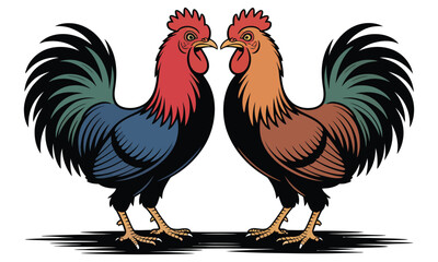 rooster isolated on white