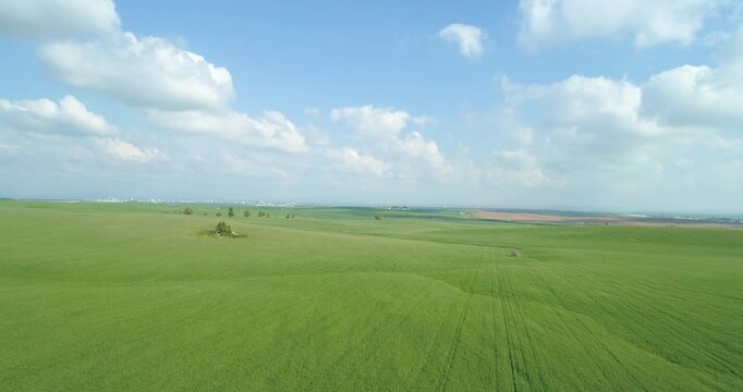 Aerial View of green grassland and wheat field. Ruhama Badlands, Israel.