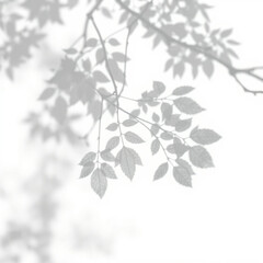 shadow overlay effect. Gray shadow of leaves isolated on white background. Plant foliage leaf shadow light effect. Mockup Blurred tree branch shadow. Ideal for summer spring design elements PNG