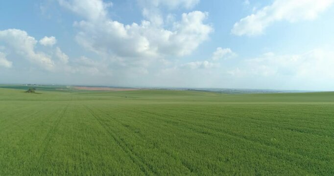 Aerial View of green grassland and wheat field, Ruhama Badlands, Israel.