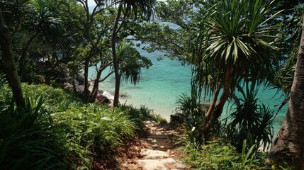Obraz premium Lush tropical path to beach