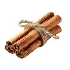 Tied cinnamon sticks