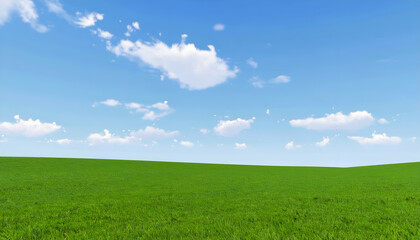 Fototapeta premium Green field with blue sky, and summer day.