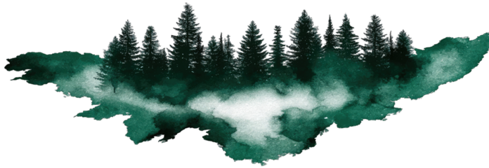 Forest Amidst the Misty Depths of Night