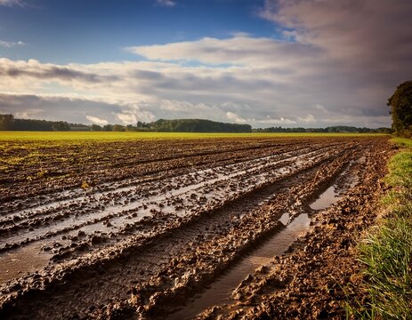 a muddy field after the rain
