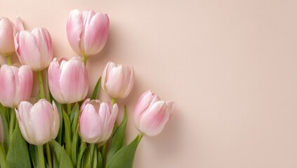 Naklejka premium Cluster of pink tulips with green leaves, viewed from above, on a peach-colored background