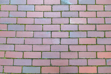Red brick pavement with moss texture in outdoor setting