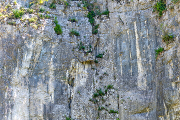 Rocky cliff face with vegetation and natural texture