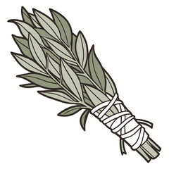 Sage bundle tied with white ribbon isolated on white smudging herb