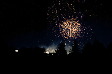 Vibrant Fireworks Display in Night Sky