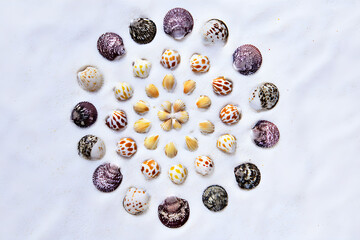 Colorful Seashell Mandala Arrangement on Sand