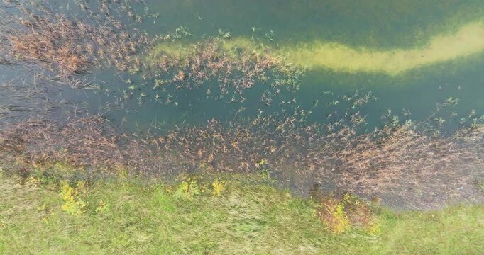 Aerial top view of lake and nature area Schoterveld, Flevoland, Netherlands