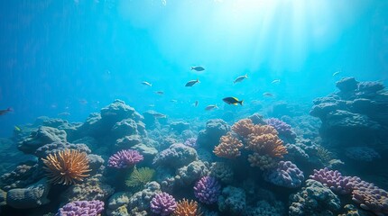Soft pastel colors and gentle light bathe the vibrant coral reef teeming with colorful corals and fish, evoking a gentle and calming atmosphere