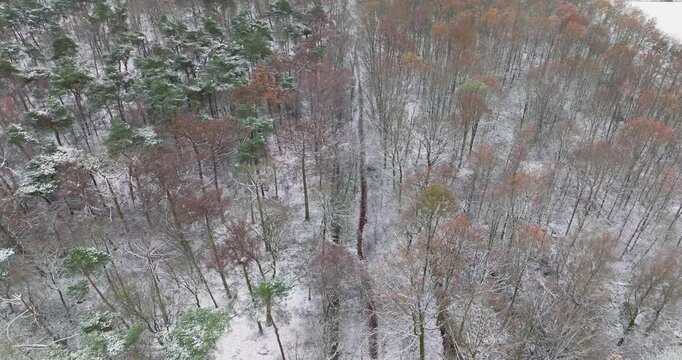 Aerial view of forest and ditch in snow, De Witte Bergen, Asten. Netherlands