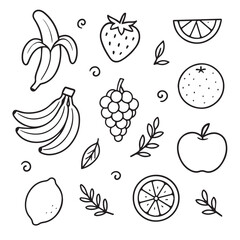 Doodles of various fruit collections. healthy food sketches black and white illustrations. Natural tropical fruit, doodles citrus orange and vitamin lemon.