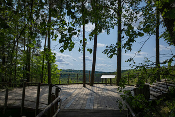 Scenic Forest Viewpoint Woodland Overlook Platform