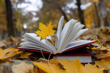 Hello, autumn. I love autumn and books. A book and an autumn leaf in the park on fallen leaves. A...
