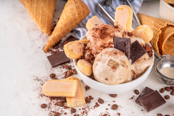 Tasty tiramisu ice cream with coffee syrup, savoyardi cookies, chocolate, cocoa powder. Portioned...