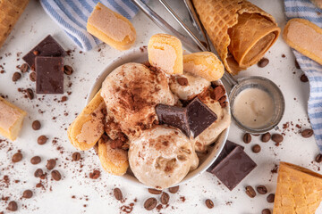 Tasty tiramisu ice cream with coffee syrup, savoyardi cookies, chocolate, cocoa powder. Portioned...