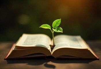 New Life from Knowledge: A Sprouting Plant on an Open Book