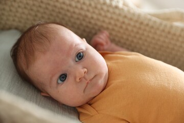Cute newborn baby in bassinet, closeup view