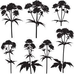 Obraz premium Dark silhouette flower illustrations, a diverse collection of detailed botanical shapes perfect for elegant design, featuring various blooming plants and organic forms for creative projects
