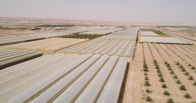 Aerial view of young palm trees and greenhouse, Paran, Negev desert, Israel.
